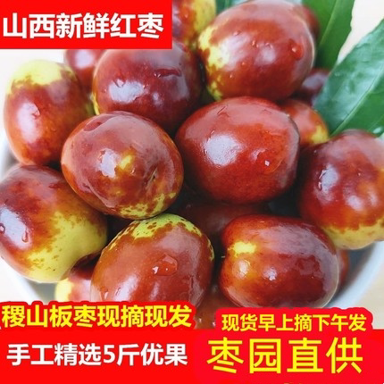 山西稷山板枣红枣新鲜枣子水果脆甜鲜枣当季现摘现发5斤整箱包邮