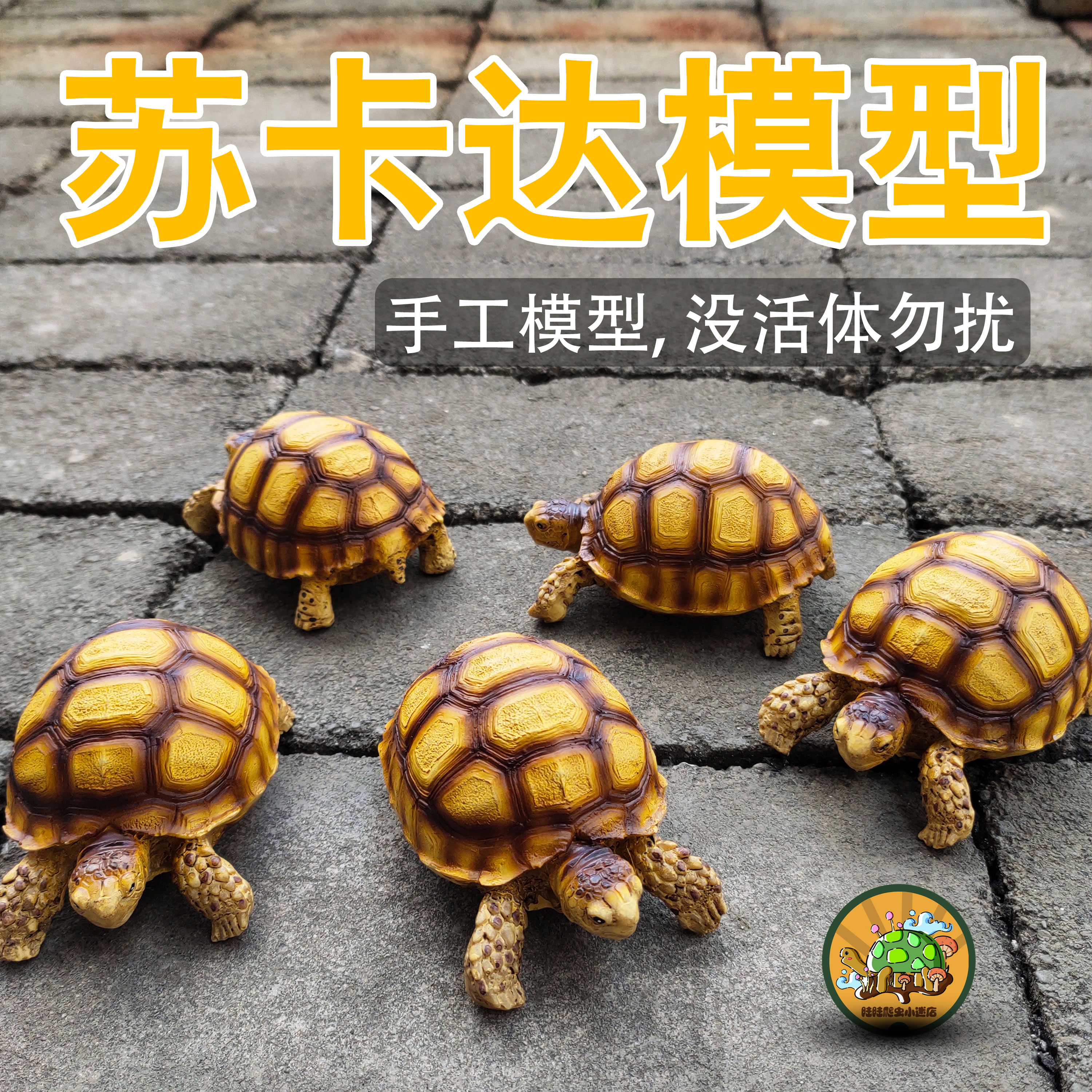 苏达模型高仿真树脂材质动物摆设品非活体手工艺龟模型