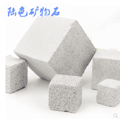 磨牙补充红腿赫曼5件包邮乌龟