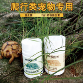 陆龟兄弟爬虫钙粉维生素陆龟变色龙蜥蜴苏卡达赫曼守宫爬宠益生菌