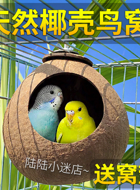 椰子壳鸟窝虎皮牡丹玄风文鸟鹦鹉鸟巢宠物保暖草编窝小鸟玩具用品