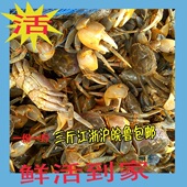 发财蟹蟹 发财蟹鲜活 黄眼蟹 蟛蜞蟹醉蟹螃蜞蟹 500g一份 白玉蟹