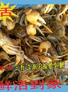 发财蟹鲜活 白玉蟹 蟛蜞蟹醉蟹螃蜞蟹 黄眼蟹 发财蟹蟹 500g一份