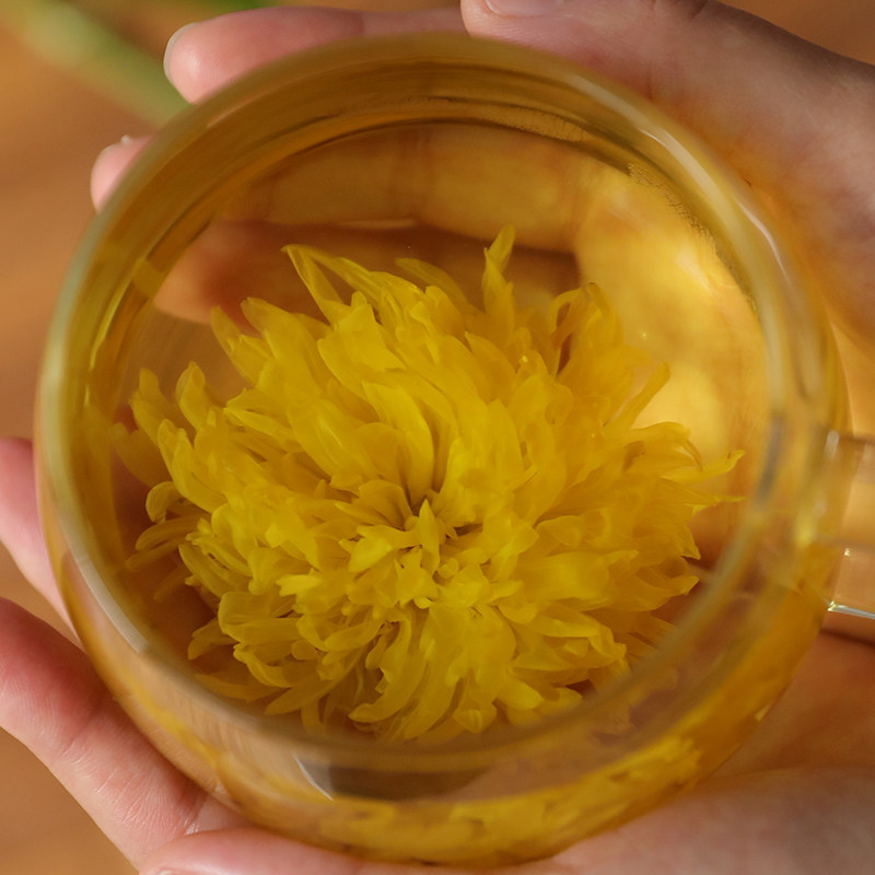 上集 修水金丝皇菊 一朵一杯菊花茶小包装大黄菊黄金菊礼盒装花茶