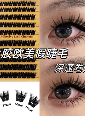 免胶浓密欧美亚裔睫毛CD翘无甲醛热销款大容量单簇睫毛蓬松假睫毛