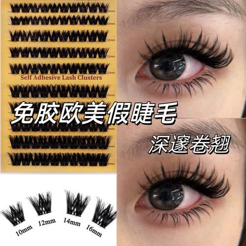 免胶浓密欧美亚裔睫毛CD翘无甲醛热销款大容量单簇睫毛蓬松假睫毛