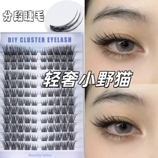 亚裔辣妹猫眼狐系斜飞新款 仿真眼睫毛12排大容量浓密自然佩戴舒适