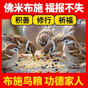 布施鸟粮鸟食鹦鹉鸟粮斑鸠麻雀喜鹊鸟饲料小型鸟食五色黍子混合粮