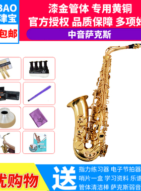津宝降E调JBAS-290 漆金中音萨克斯风专业演出教学演奏 中萨弯管