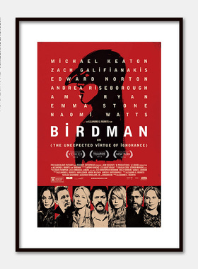 亚历杭德罗·冈萨雷斯·伊纳里图经典电影海报鸟人 Birdman装饰画