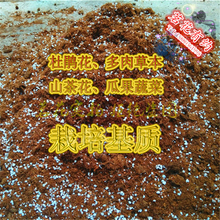 杜鹃茶花草本多肉果蔬土椰糠营养土 弱酸性栽培基质奥绿肥缓释肥,鲜花速递/花卉仿真/绿植园艺,介质/营养土,淘宝优惠券,粉丝福利购,淘宝优惠卷