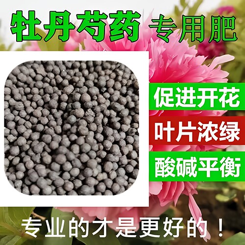 牡丹芍药专用肥料花大色艳促生根