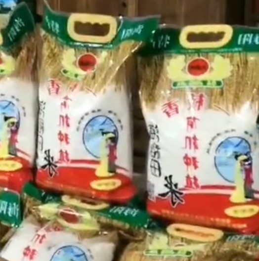海阳特产2024沽头咕头荆家大米一枝香无公害当季新大米5kg包邮