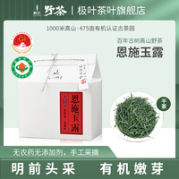 2024明前新茶恩施玉露有机绿茶叶高山云雾野放古树茶蒸青毛尖250g