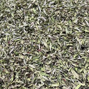 2025新茶头采鱼叶银针胎叶福鼎白茶寿眉高山口感鲜嫩500克