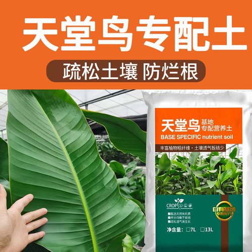 泥炭土天堂鸟通用型基地自配