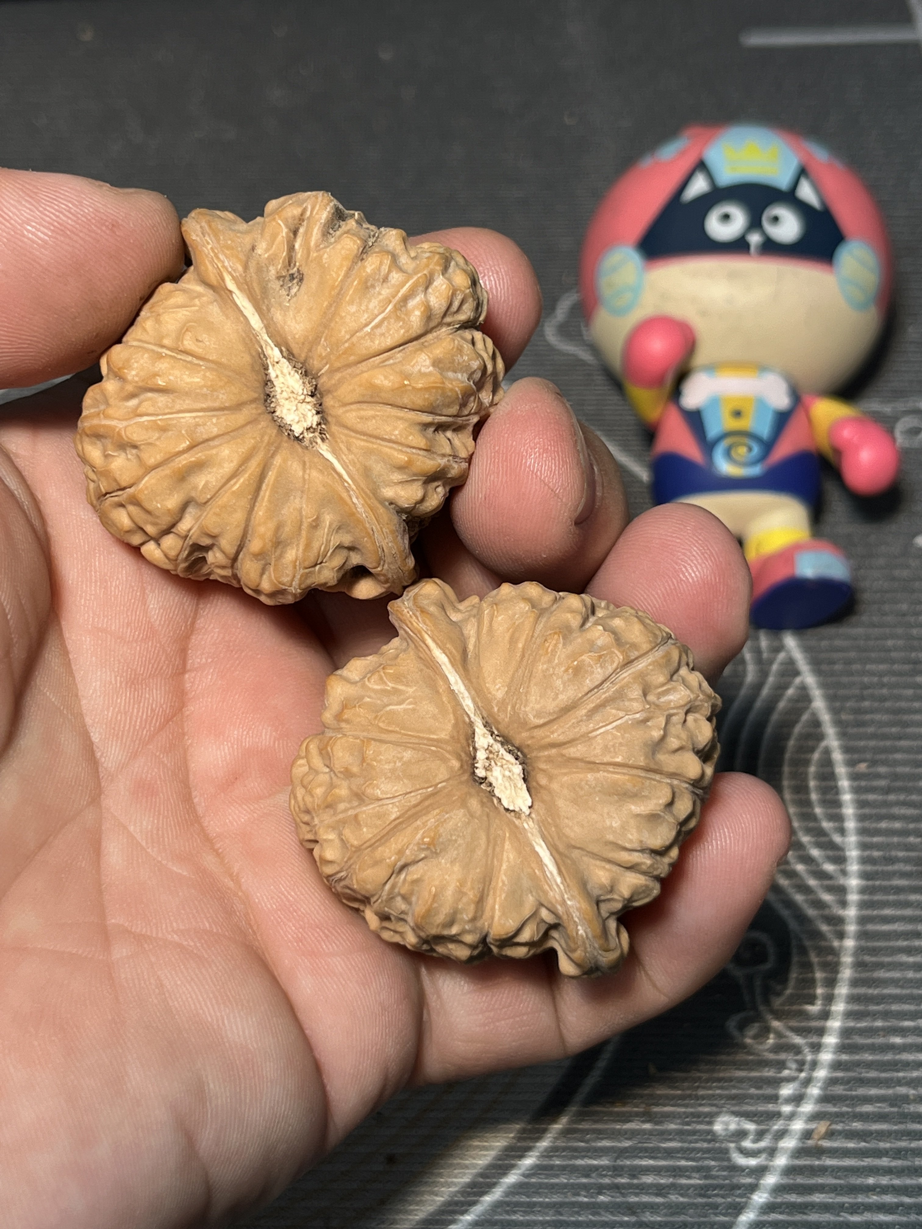 红皮南瓜墩狮子头45尺全品文玩核桃一物一图手把件山地老树果47克