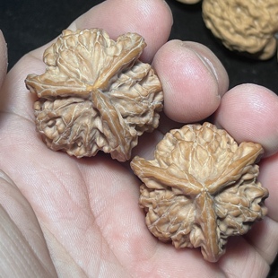 盘山三棱34尺筋到底棱分明全品文玩核桃正奔三叉星辉