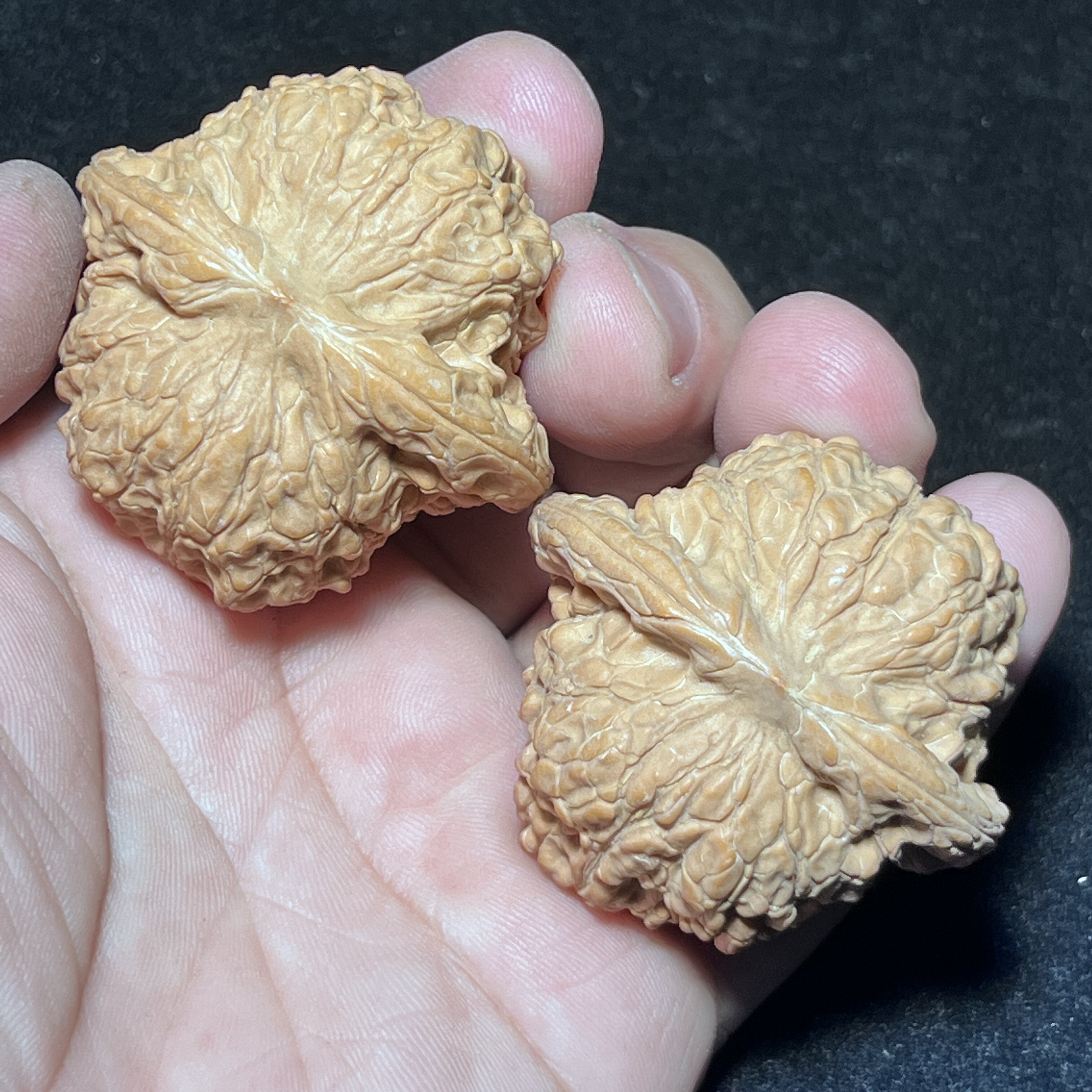 血麒麟狮子头平谷骰子老树红皮大尺寸一物一图实物实拍文玩核桃