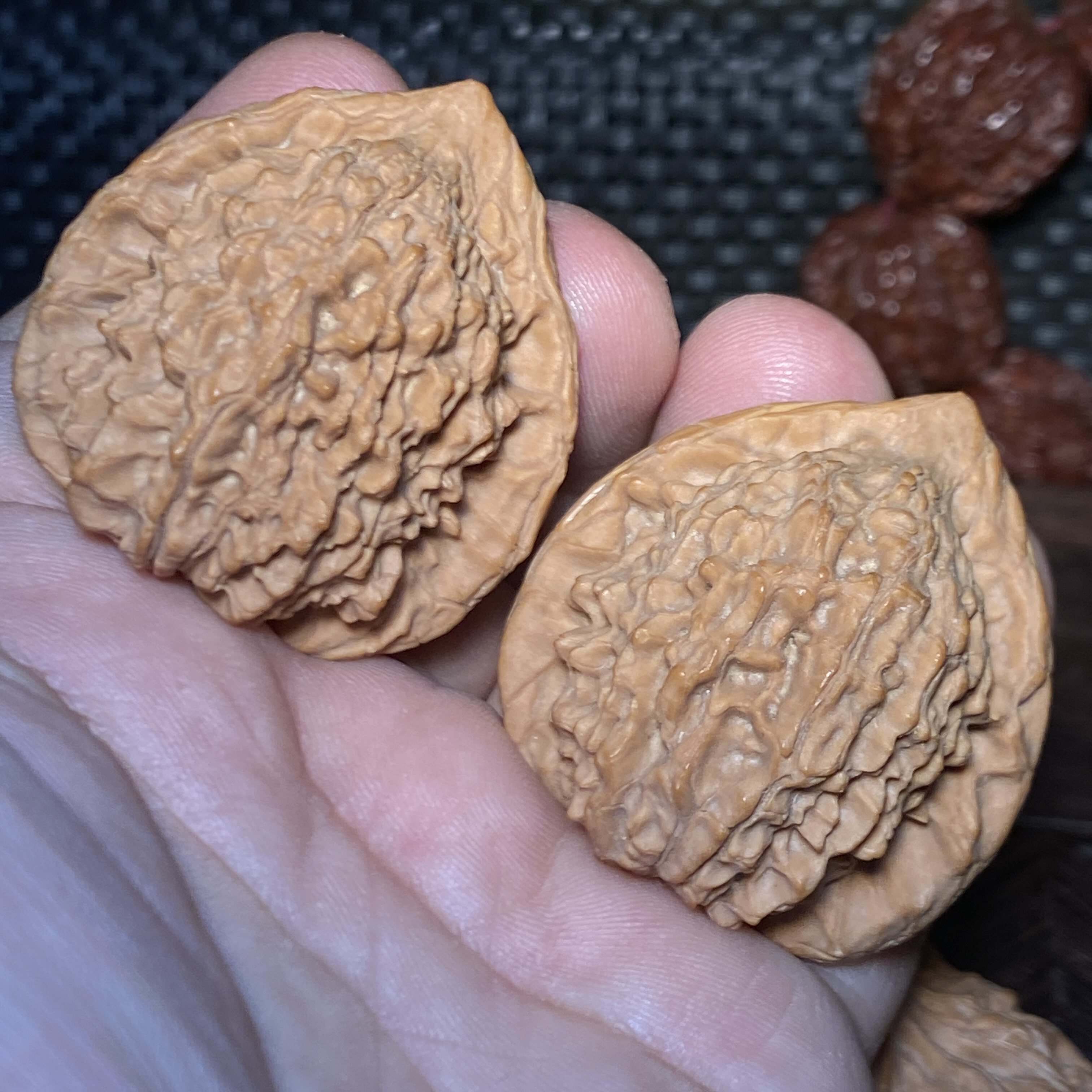 d19朱雀狮子头41尺文玩核桃一五一图宽边大耳桃心型纹路流畅红皮