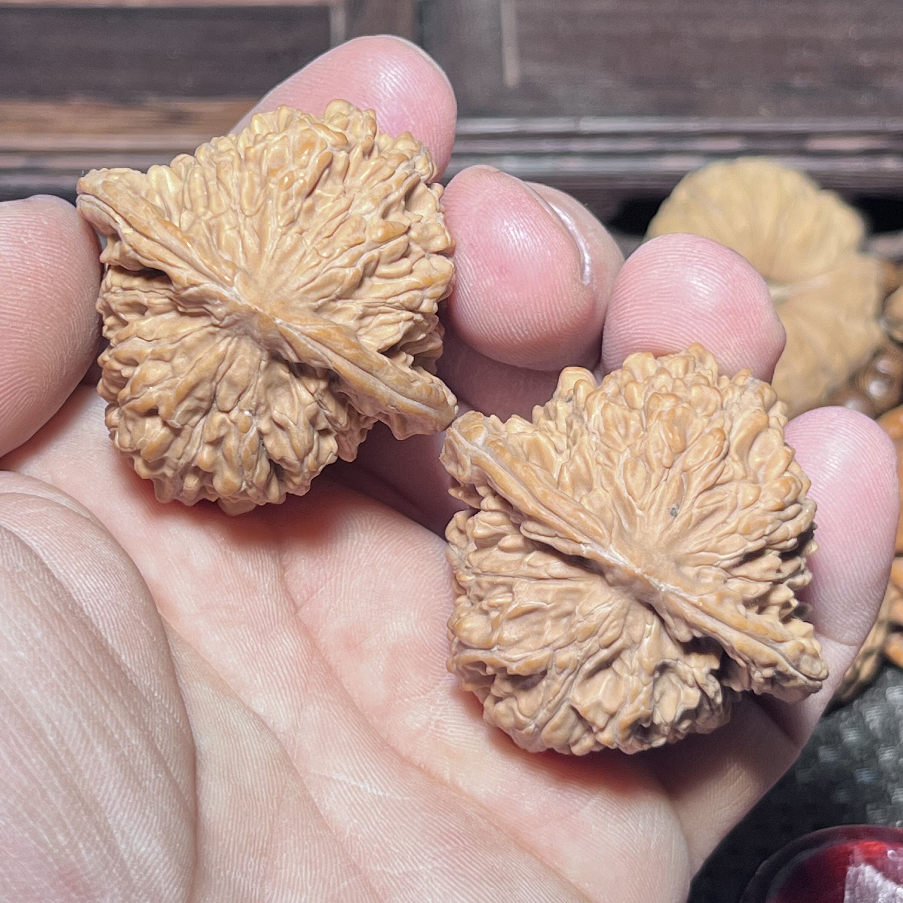 四座楼狮子头配对好一物一图实物拍摄山地果骨质硬44平谷一代楼