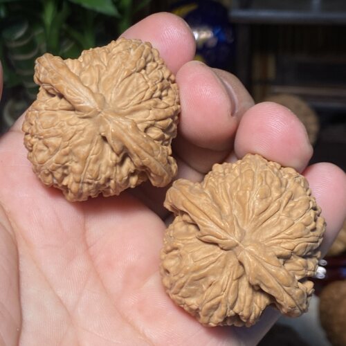 C6白狮子狮子头42全品无修一物一图闷白卡姿兰大眼睛红皮手把件