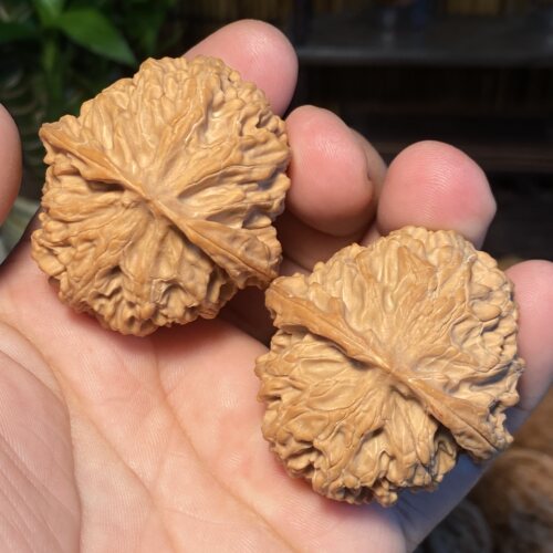 C4苹果园大尺寸44金钱底荔枝纹全品无修实物拍摄满肉红皮山地果