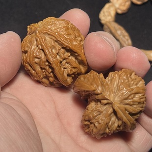 白狮子狮子头三棱犀牛挂角生命之源文玩核桃实物拍摄一物一图