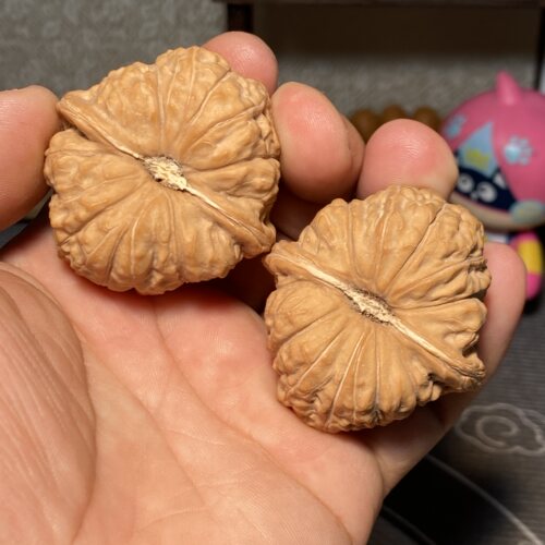 A1南瓜墩狮子头45全品满肉文玩核桃男士手把件一物一图头货卡姿兰