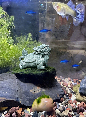 新中式龙龟鱼缸造景玄武博古架装饰创意桌面瑞兽摆件手工高级荼宠