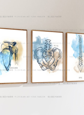 普拉提婵柔壁画健身房装饰画人体骨胳中医养生挂画脊椎瑜伽馆壁画