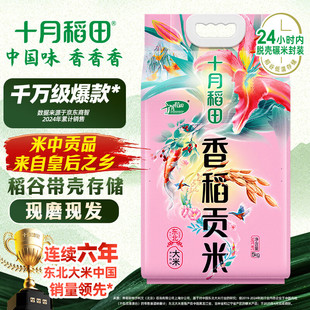 十月稻田 香稻贡米 东北大米 10斤（香米 粳米 5公斤/十斤）
