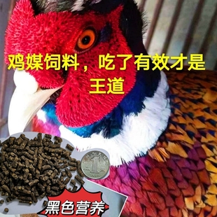 七彩山鸡媒饲料四斤包邮优质训媒提性壮膘营养料斗鸡竹鸡鹧鸪通用