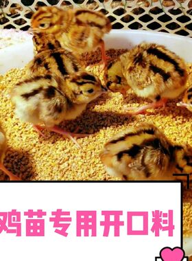 小鸡饲料七彩山鸡高蛋白营养鸡料