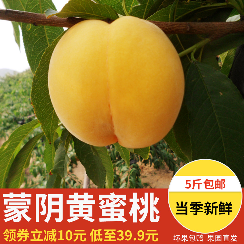 ÐÂÏÊÏÖ»õÃÉÒõË®ÃÛÌÒ»ÆÌÒ5½ï°üÓʵ±¼¾Ôи¾Ë®¹ûÐÂÏÊÏÖÕªÏÖ·¢·ÇÓÍÌÒ
