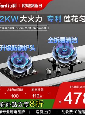 [政府补贴]万和燃气灶双灶家用天然气蓝莲花猛火灶具B9官方旗舰店