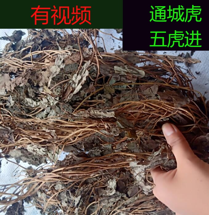 野生通城虎草 500克中草药材 定心草 正品五虎通城 一点血 血蒌