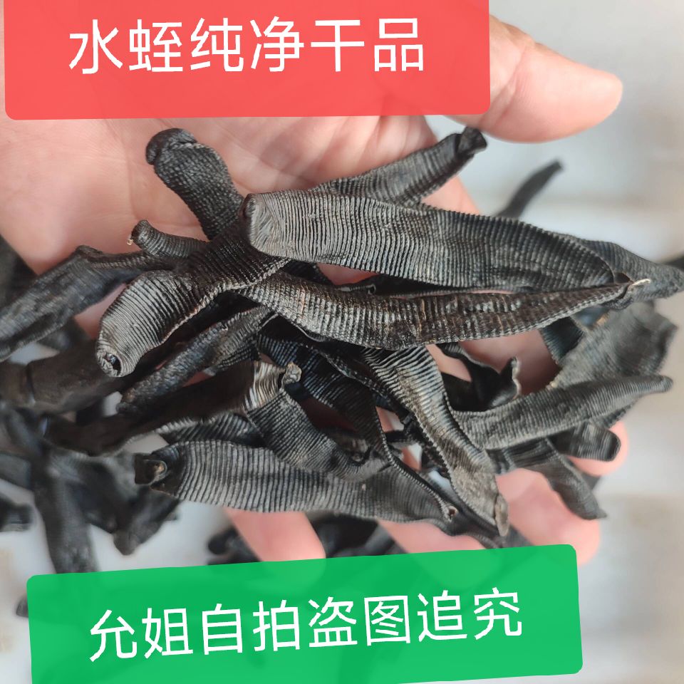 水蛭中药材精选清水大新鲜水蛭野生干货菲牛水蛭蚂蟥干非吊杆水蛭