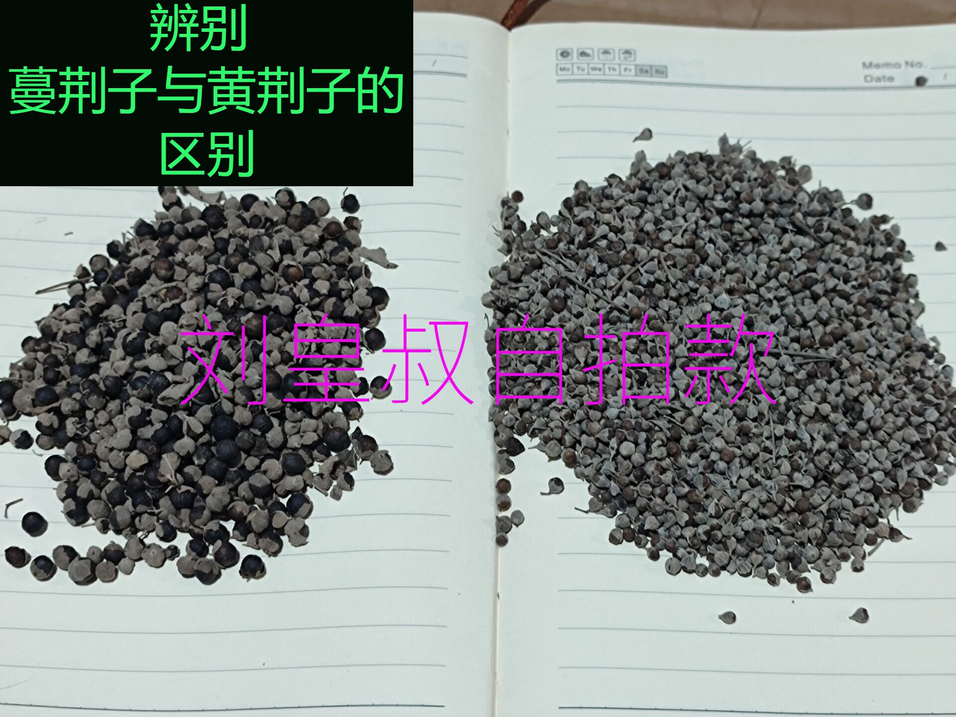 中药材 曼荆子 蔓荆子 荆条子京子500g万荆子 曼青子售黄荆子