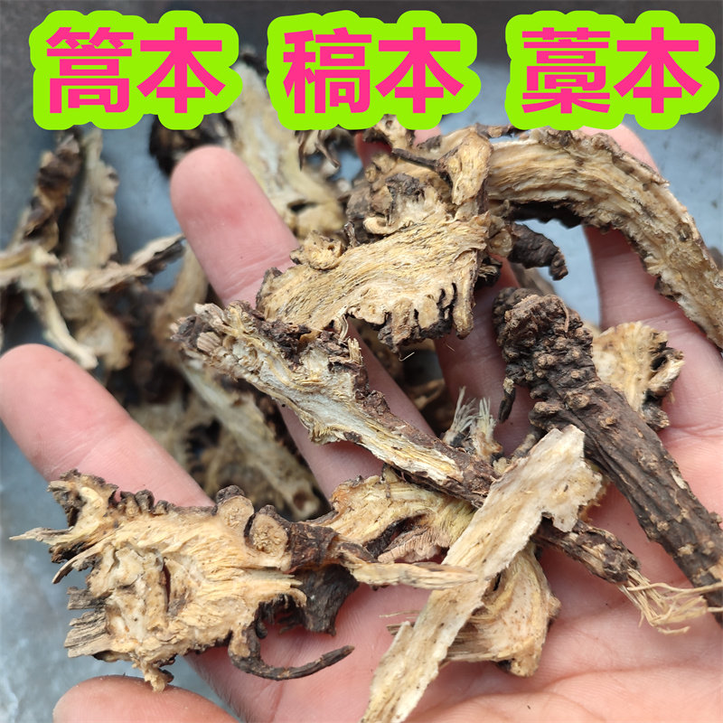 蒿本500克野生香藁本藁茇鬼卿地新篙本可打藁本粉 精选中药材自拍 - 实物图