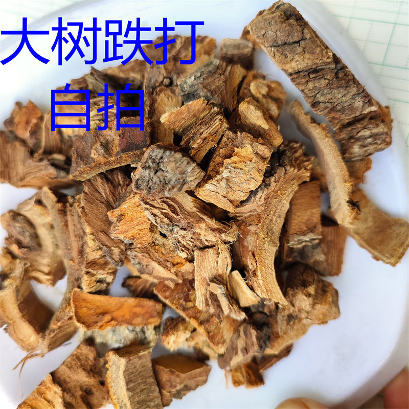 中药材 大树跌打 黄桐皮 又名黄虫树500克 冷备中药材大全