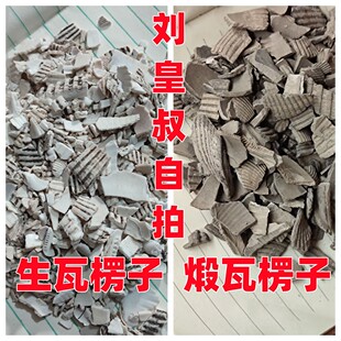 中药材瓦楞子500g克 正品生瓦楞子 煅瓦楞子可磨瓦楞子粉瓦棱子