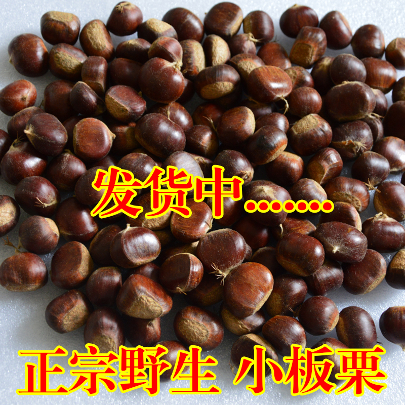 2025年神农架野生小板栗毛栗生吃即食油栗山栗生毛栗子5斤包邮