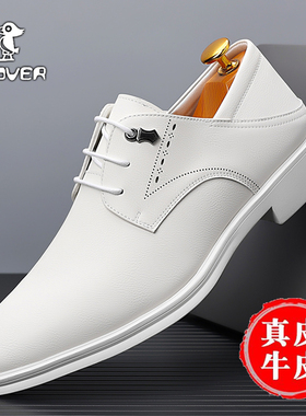Plover白皮鞋男春季新款真皮商务休闲小白鞋演出舞蹈结婚鞋上班鞋