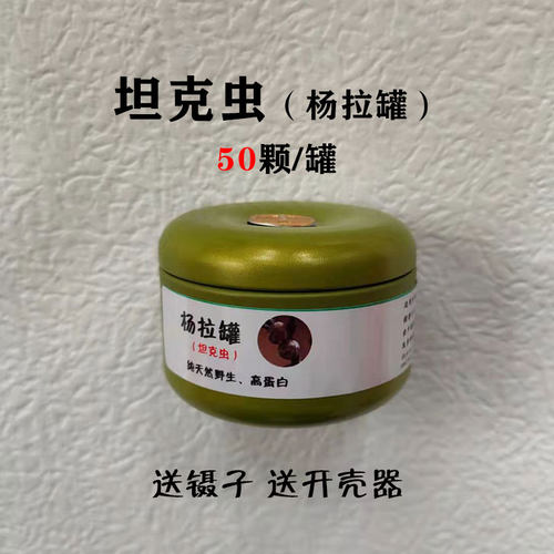 杨拉罐洋辣子罐蛋仓鼠零食坦克虫