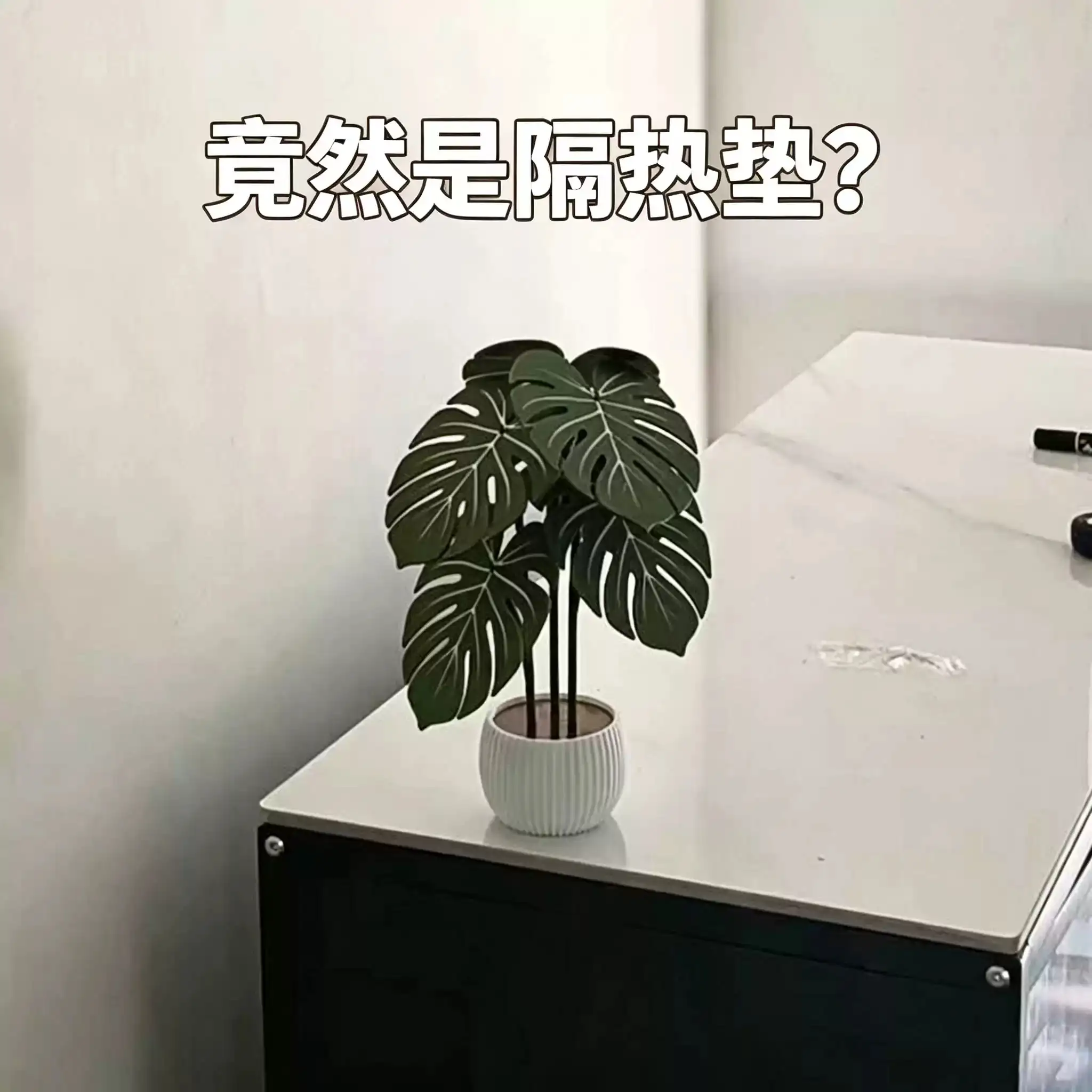 龟背芋防烫垫桌垫隔热垫耐高温