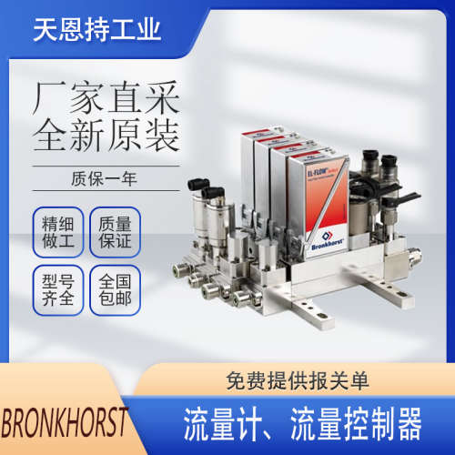 德国 全新原装 BRONKHORST流量计FLEXI-FLOW 紧凑型FG-201AV