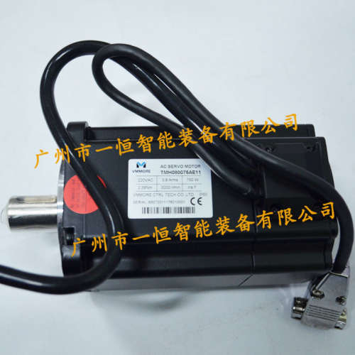 全新原装  泰德奥tadele 微秒 TMH080100AE11电机  质保一年