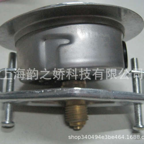 德国TECSIS泰科思机械耐震压力表63轴向G1/4 P1453-40mpa  400bar