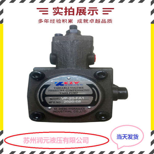 法国HPI齿轮泵P1DBK3040HA2008HL30C07N 质量好 产品齐全